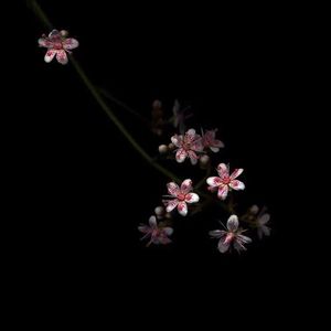 抢女友速成班漫画免费读漫画下拉式
